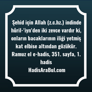   Şehid için Allah (z.c.hz.) indinde ... hadisi